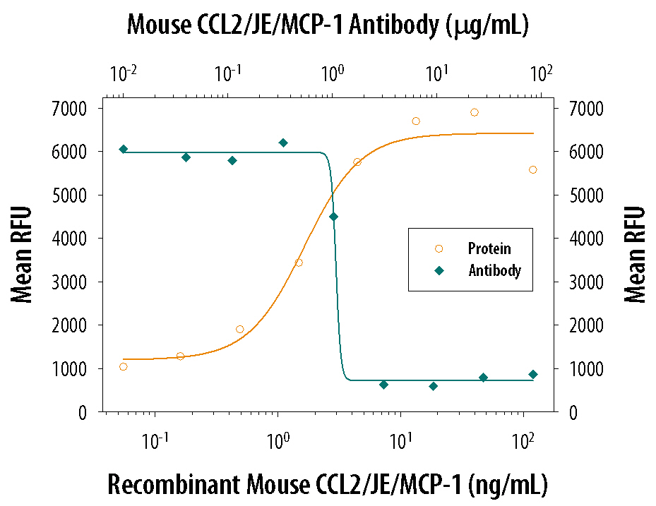 mCCL2/JE Aff Pur PAb (100 ug)