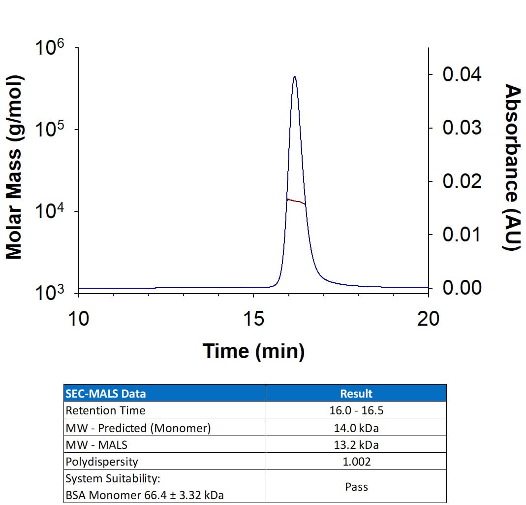 Recombinant Mouse IL-4 Protein