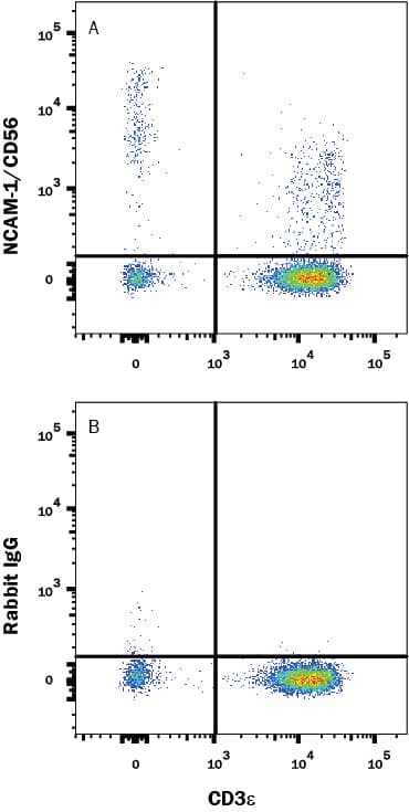 R&D Systems_Human NCAM-1/CD56 Biotinylated Antibody_优宁维(univ)商城