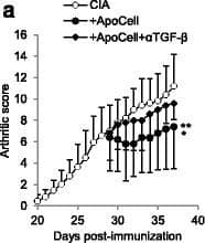 TGF-b1,2,3 MAb (Cl 1 (25 ug)