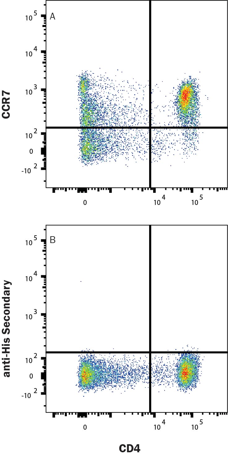 hCCR7 MAb (25 ug)