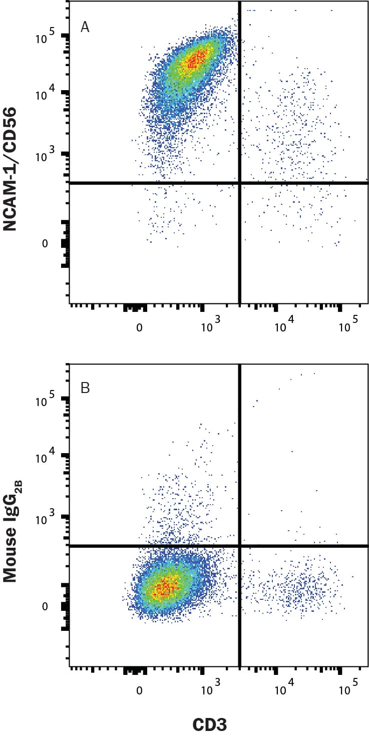 h/prNCAM-1 MAb (Cl 3 (25 ug)