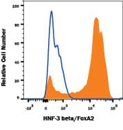 Human/Mouse/Rat HNF-3 beta/FoxA2 MAb (Clone 2141A) (25 UG)