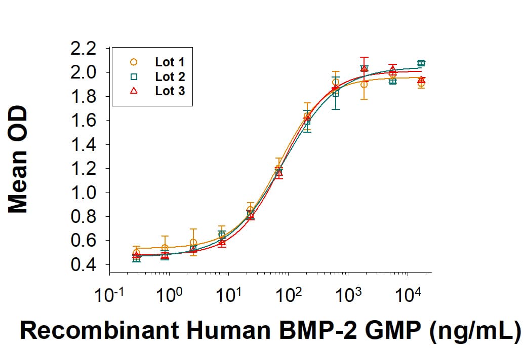 rhBMP-2 GMP, CF (1 MG)