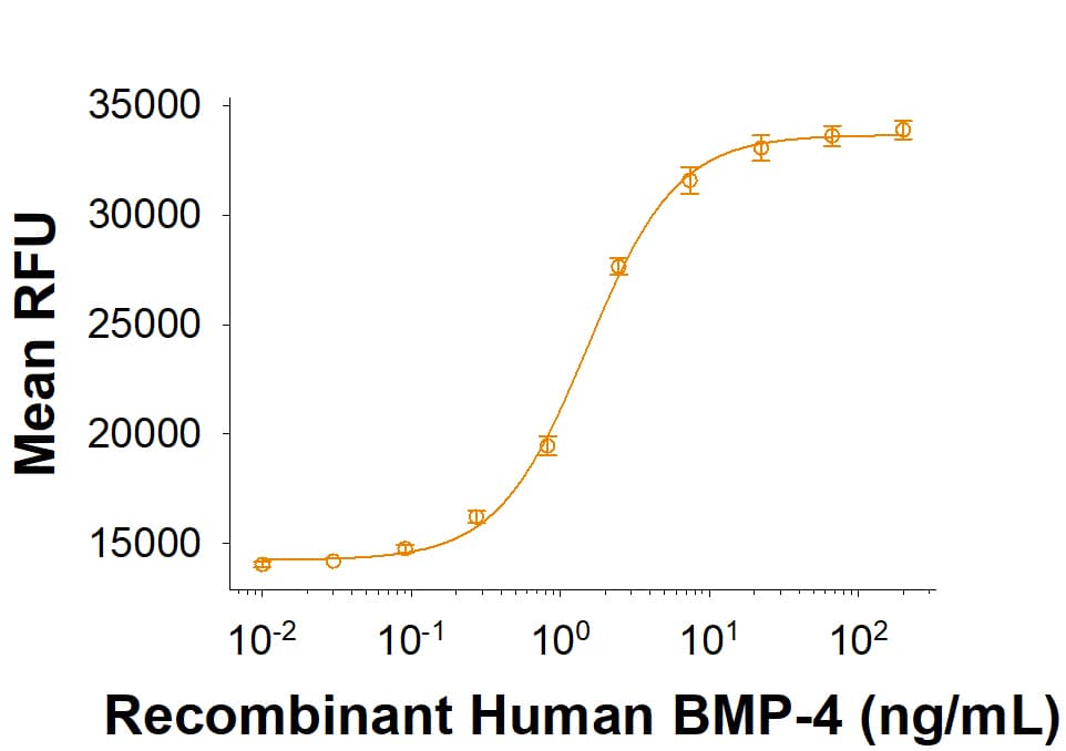 rhBMP-4, CF (10 ug)