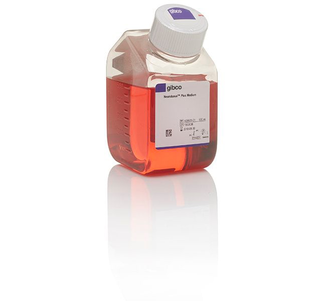 NEUROBASAL(TM) PLUS MEDIUM