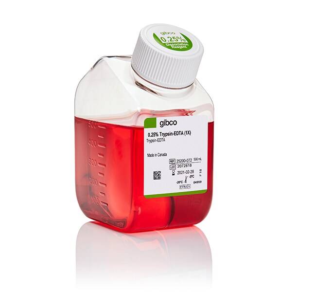 TRYPSIN 0.25% EDTA