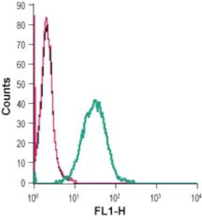 ADENOSINE A2A RECEPTOR (EXTRAC