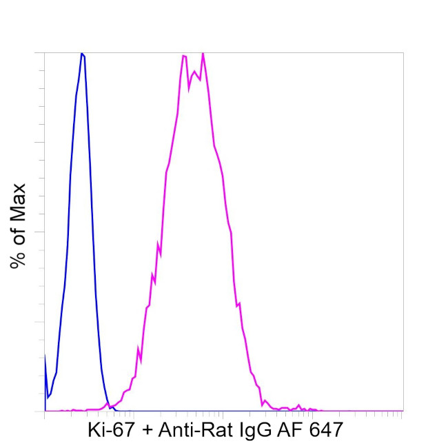 RT KI67 PU RMAB