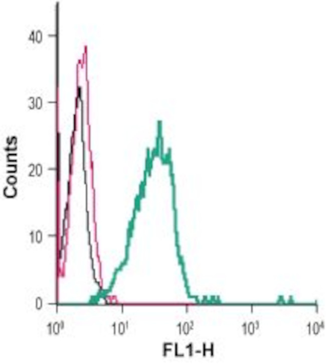 TREM2 (EXTRACELLULAR) ANTIBODY