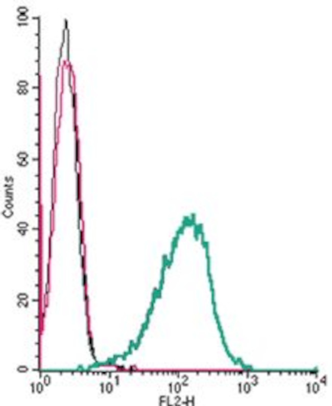 ADENOSINE A2A RECEPTOR (EXTRAC