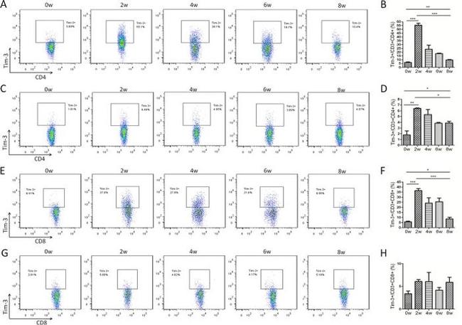 MO CD366 RMT3-23 PE-CYN7 MAB