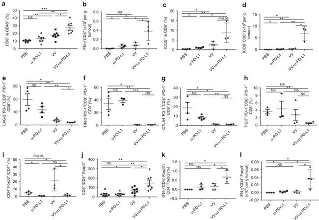 MO CD366 8B.2C12 AF488 MAB