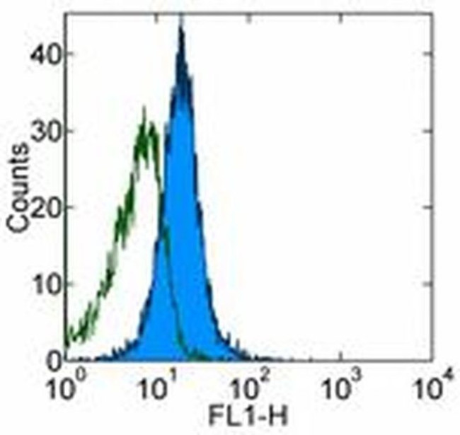 ANTI-HU CD277 EBIOBT3.1 PUR