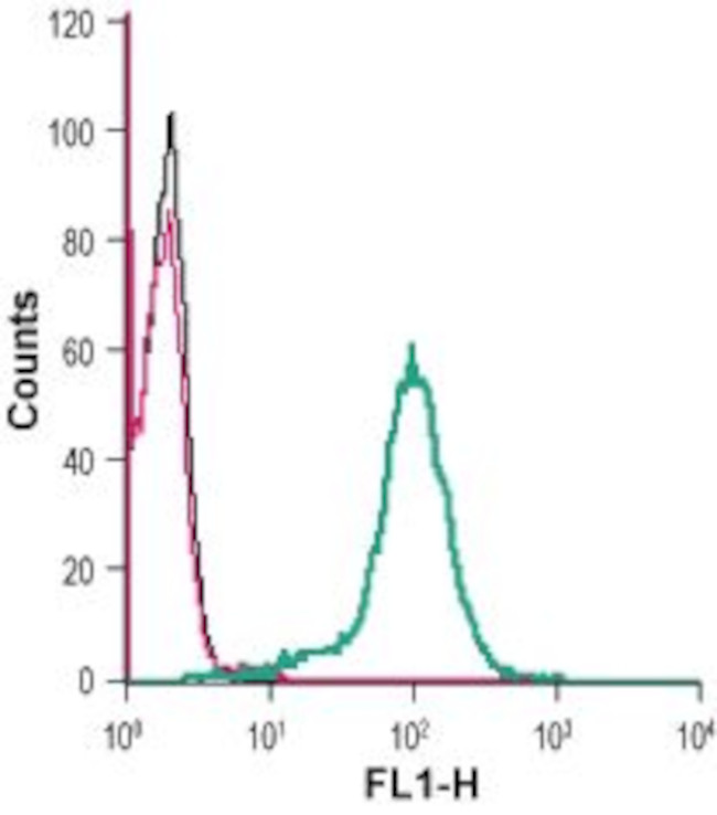 LYNX1 (EXTRACELLULAR) ANTIBODY