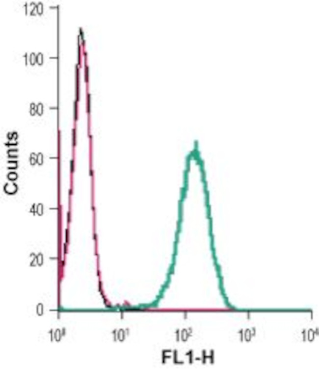 CD39 (EXTRACELLULAR) ANTIBODY