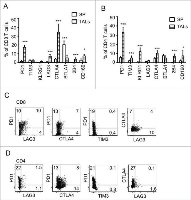 MO CD366 8B.2C12 AF488 MAB
