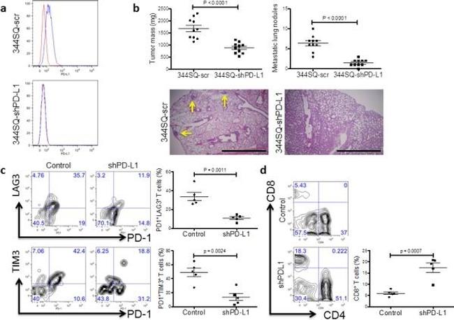 MO CD366 RMT3-23 PE-CYN7 MAB