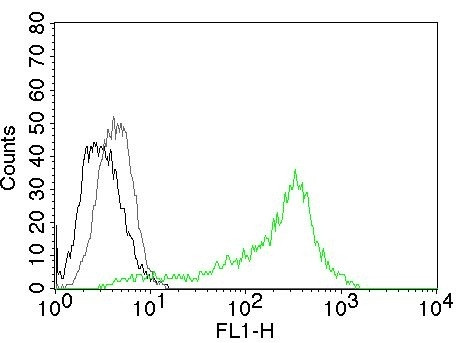 NUCLEOLIN (MARKER OF HUMAN CEL
