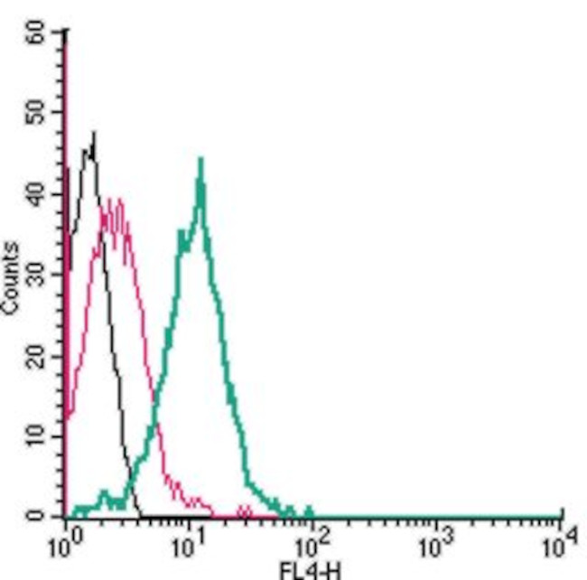 NICOTINIC ACETYLCHOLINE RECEPT