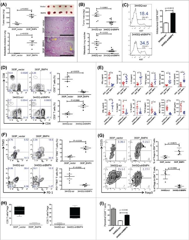 MO CD366 RMT3-23 PE-CYN7 MAB