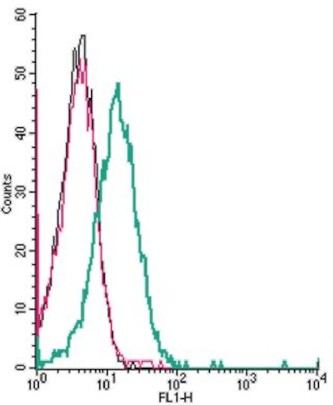 NICOTINIC ACETYLCHOLINE RECEPT