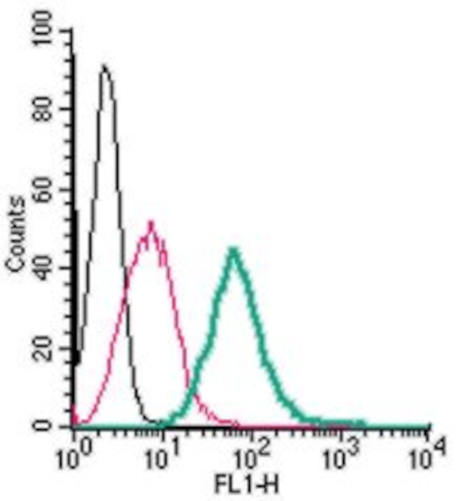 ADENOSINE A2A RECEPTOR (EXTRAC