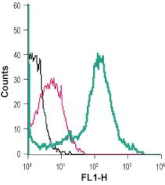 NICOTINIC ACETYLCHOLINE RECEPT