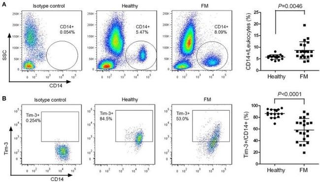 MO CD366 RMT3-23 PE-CYN7 MAB