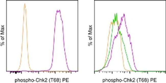 HU/MO PCHK2 EBCHK2 PE MAB