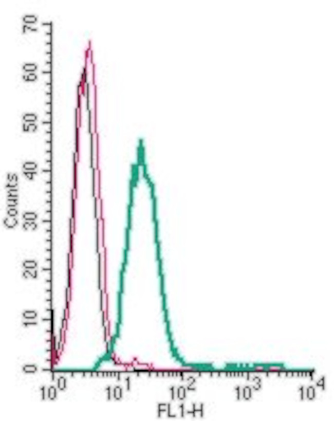 ADENOSINE A2A RECEPTOR (EXTRAC