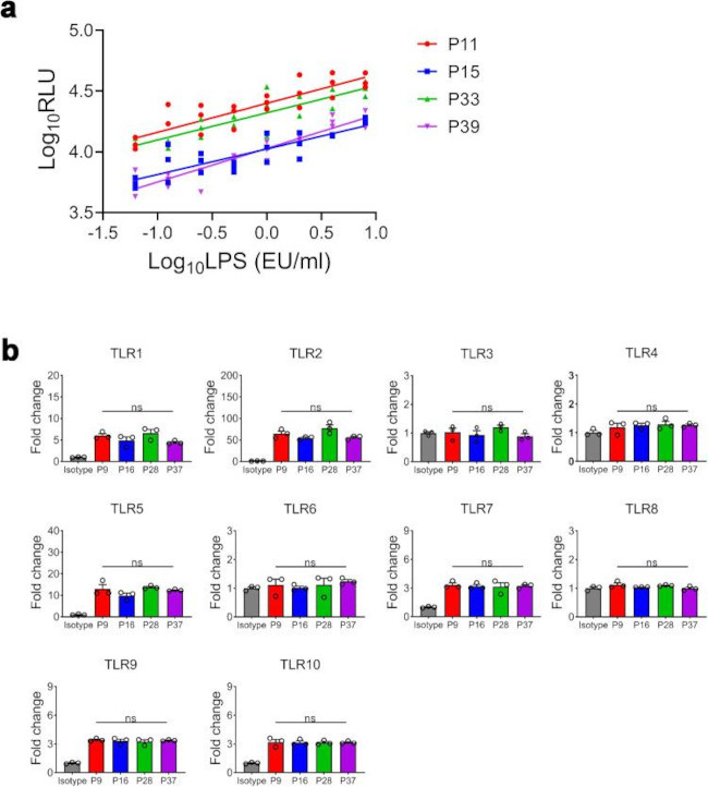 HU CD281 GD2.F4 PE MAB