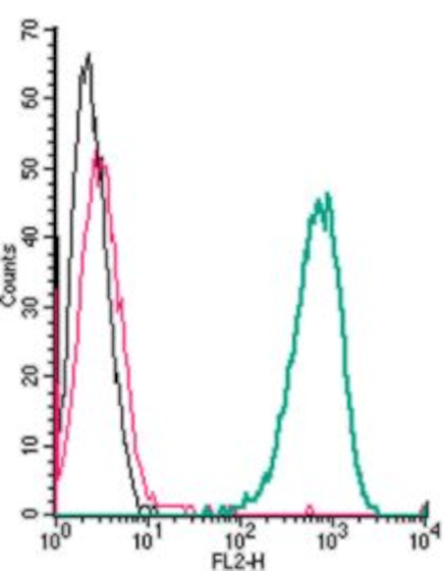 ADENOSINE A2A RECEPTOR (EXTRAC