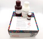 FIREFLY LUCIFERASE GLOW ASSAY