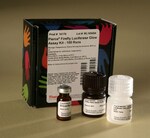 FIREFLY LUCIFERASE GLOW ASSAY