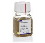 B 27 SUPPLEMENT