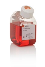 NCTC 109