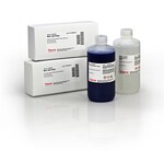 MINI GEL POWER STAINING KIT