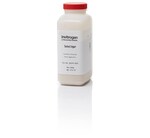 SELECT AGAR