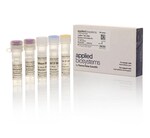TAQMAN(R) MICRORNA RT KIT