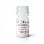 PROTEIN A PLUS ULTRALINK