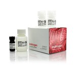QUBIT PROTEIN ASSAY KIT- 100