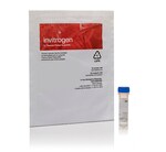 4-4-DIFLUORO-5-(2-THIENYL